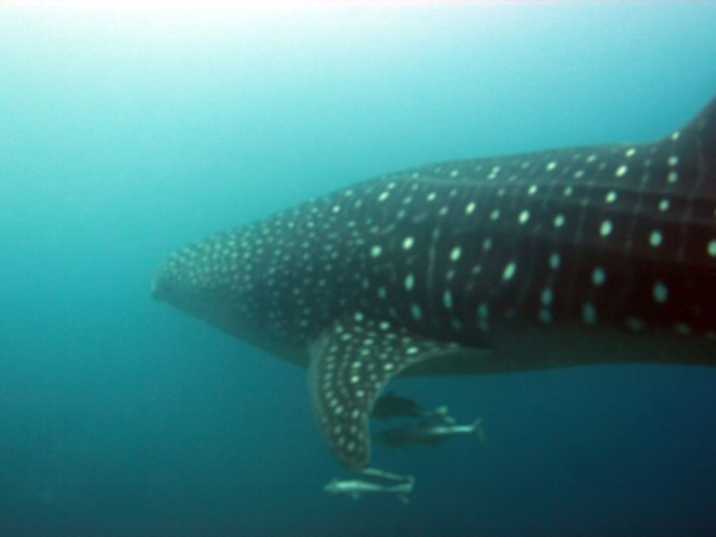 4df43c0e-af4f-41ca-a9a1-28f2e57790ba