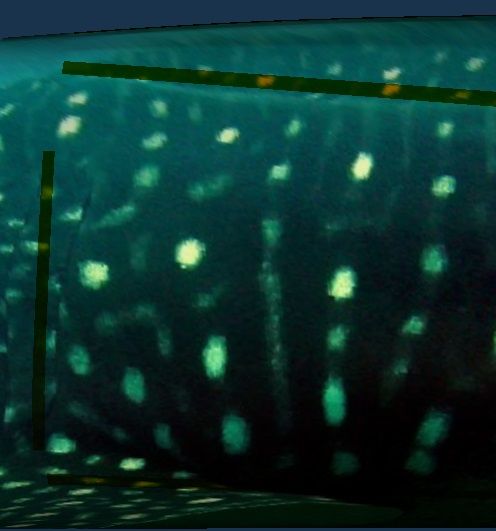 4df43c0e-af4f-41ca-a9a1-28f2e57790ba