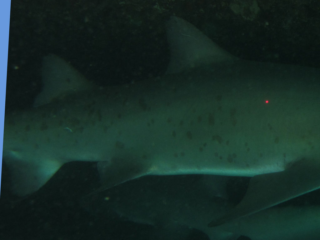 ecd3ac04-5426-44a0-b396-de906786621f