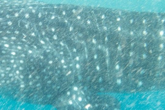 9de165ad-0924-4eb3-b24f-0c58a36f99fe