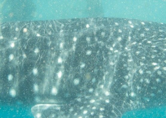 9de165ad-0924-4eb3-b24f-0c58a36f99fe