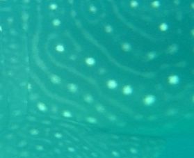 7de4c4d9-90cb-4844-933c-e06c999a5e95