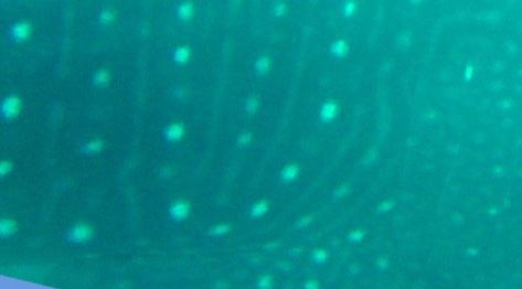 7de4c4d9-90cb-4844-933c-e06c999a5e95