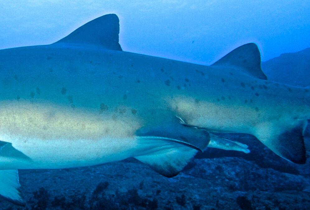 90e81e18-97c9-4f14-a13a-de04bf0592e6