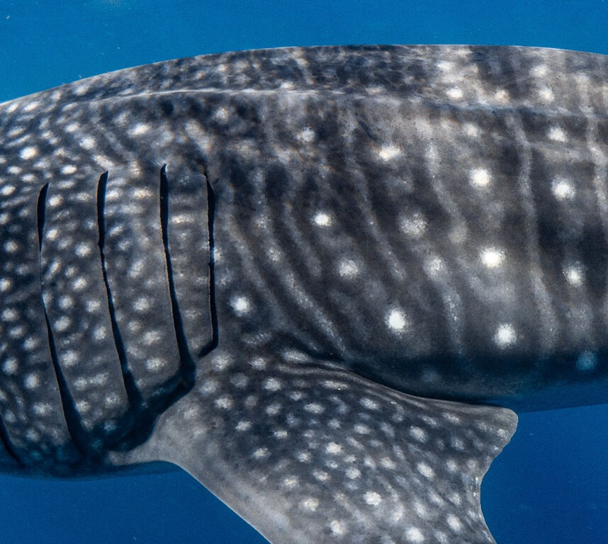 7ad38922-20b6-41d5-b584-5590c9a3fdc0