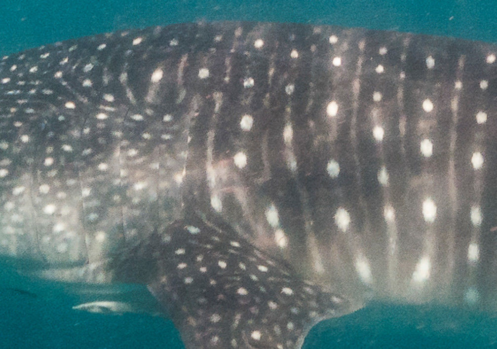 8cd883ff-a04b-4a90-bd3f-03f2d352ddae