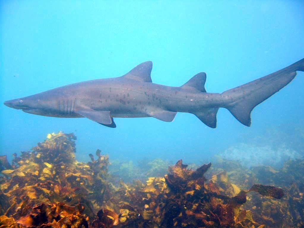 6ed6b691-d4b8-479d-b155-21df923d7529