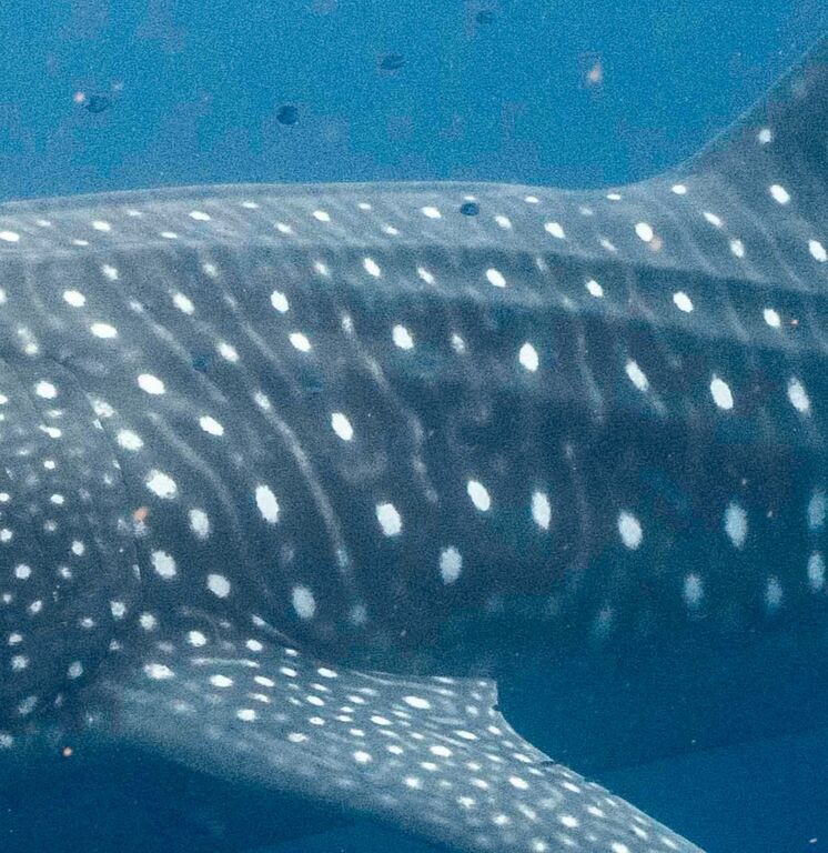 f87e04d3-bdcc-4de4-a6f5-e6bd84049ce0