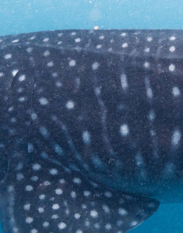 35761845-e84e-479d-b71e-b58017253525