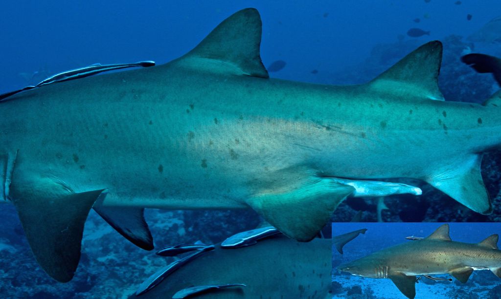 056c7a52-a38b-4f32-aa87-9751013096cc