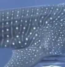 9f6977fa-9694-42d4-abc4-cb13748b5162