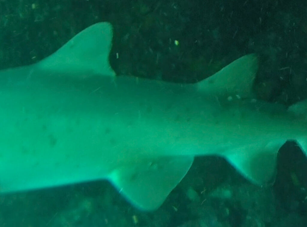 396632a8-7df4-4b5b-b1f6-37824ee043cf