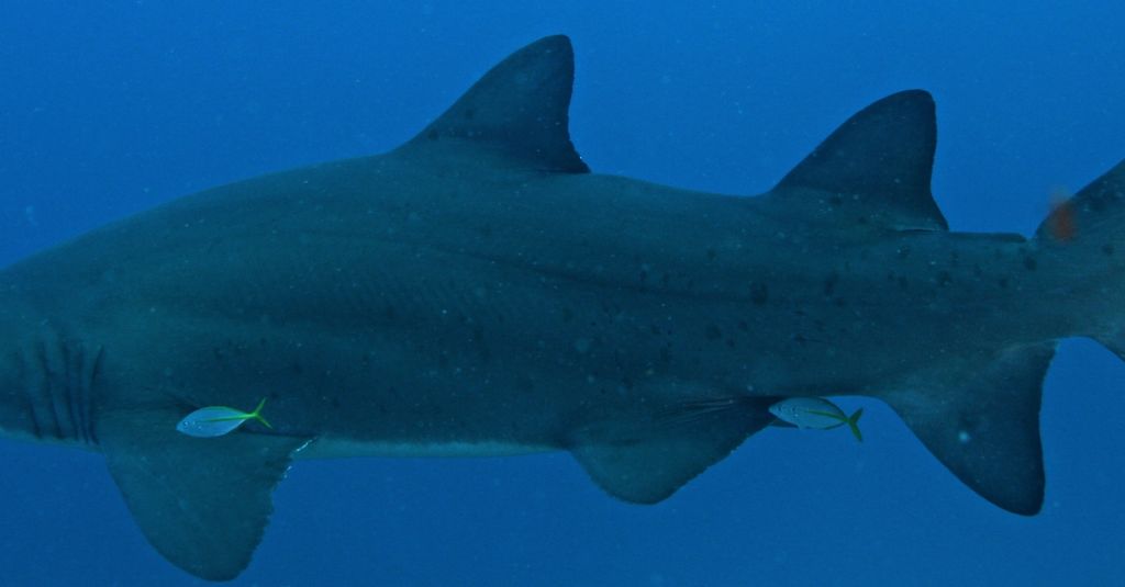 9737cbe0-1d0e-494f-a205-160decc9302e