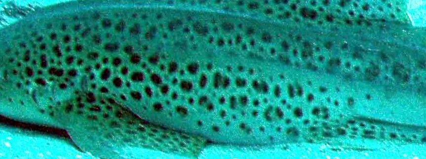 7b978c2d-f445-4e2b-a967-b63c96fe2d7a