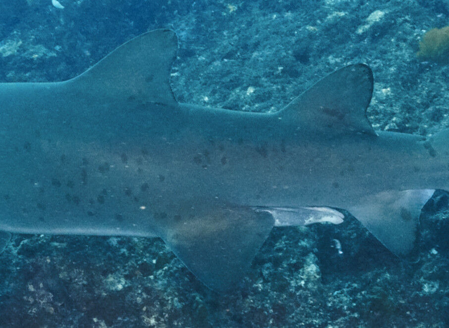 86af1e17-159c-4a7e-8c90-2d3f939bb50f