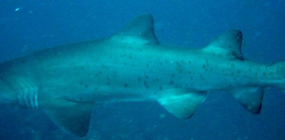 b1c6c25a-3dda-482b-b193-f920fe72ddc0