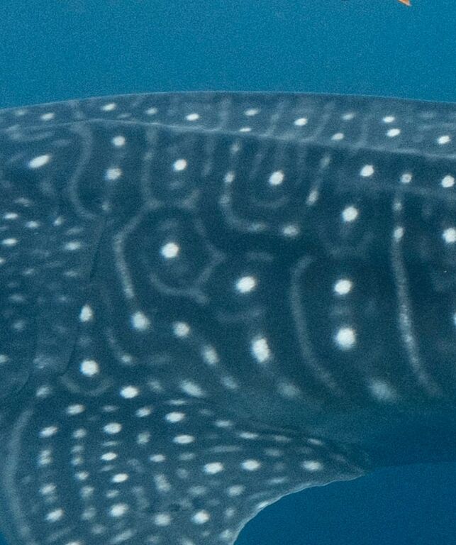 356e76b9-2dd7-4e7e-a17f-7016be55f424