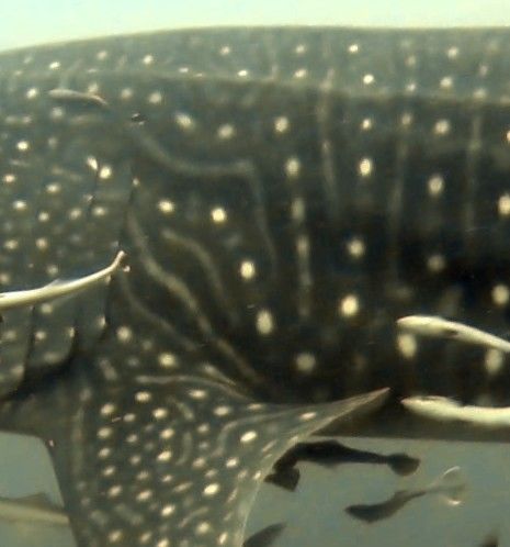 5471e6a9-b7f7-4f53-963d-a130754349bc