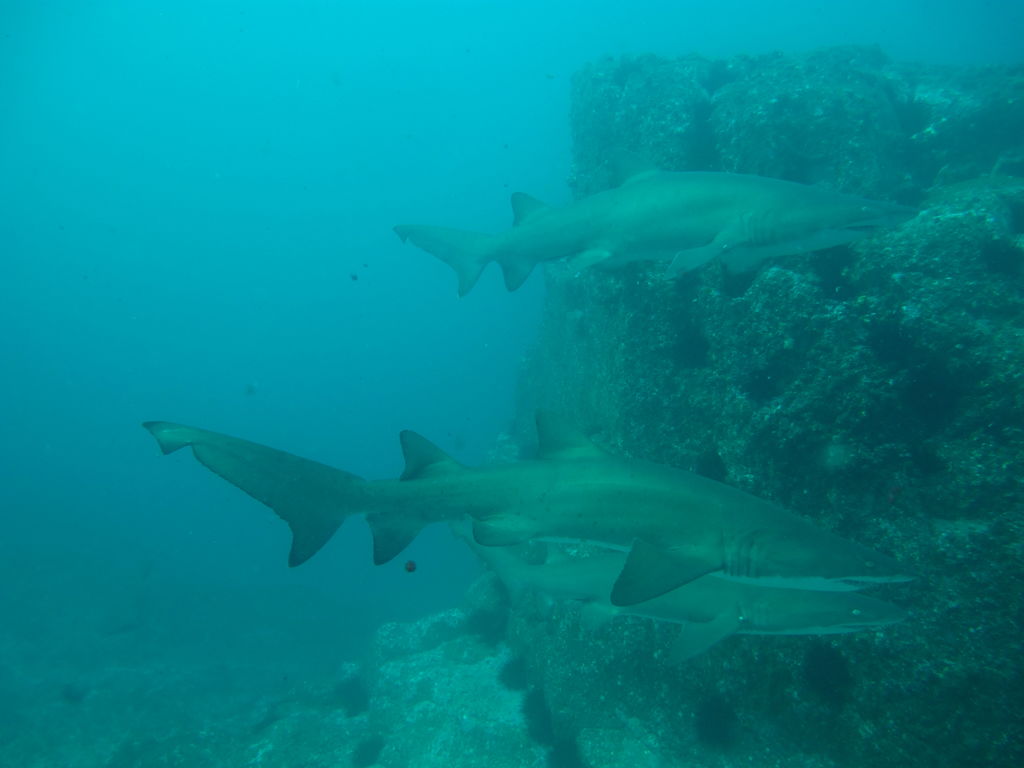 af71d643-e3d4-4dc8-8798-c5b21b859224