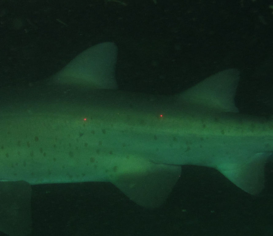 65914b2e-8a8f-4db7-9f67-62457a5d8a15