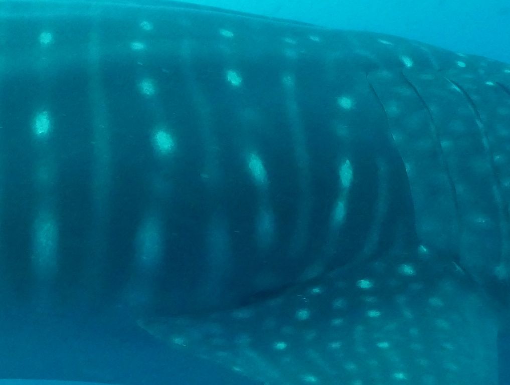 b5e23191-27dc-4b69-b95f-2c46f231d44b