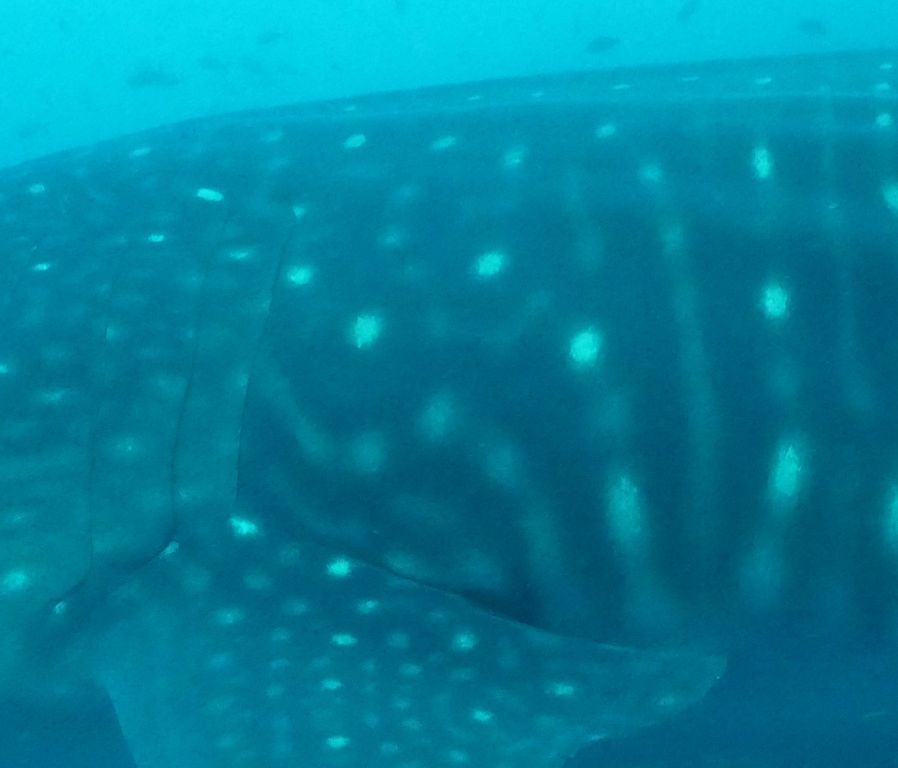 b5e23191-27dc-4b69-b95f-2c46f231d44b