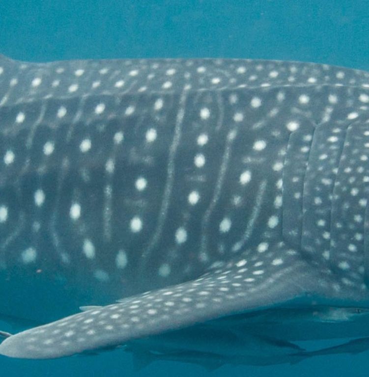 ed49bf59-5b05-4c2c-8223-cf902c3b3022