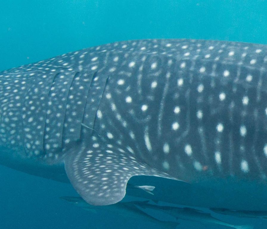 ed49bf59-5b05-4c2c-8223-cf902c3b3022