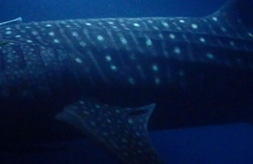 1366b1e3-191c-4dfb-a796-f6d56863c082