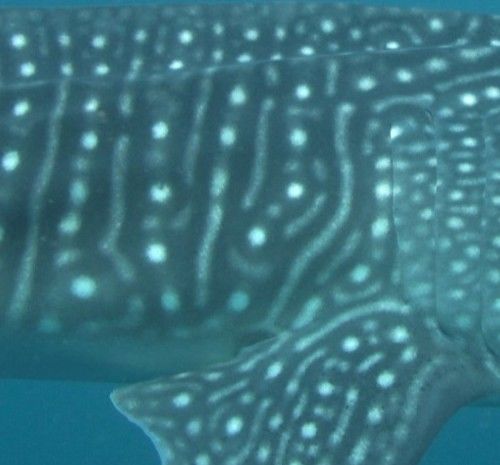 dc5d957a-5ddd-4f5b-ac4d-caa3dc9a3dee