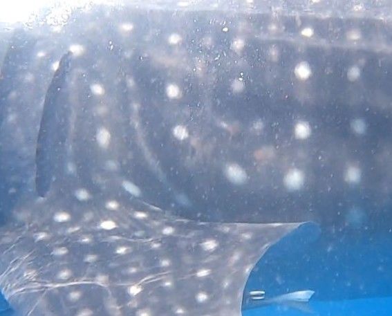 2dbf328a-56a6-4660-9ce0-15485c3363a3