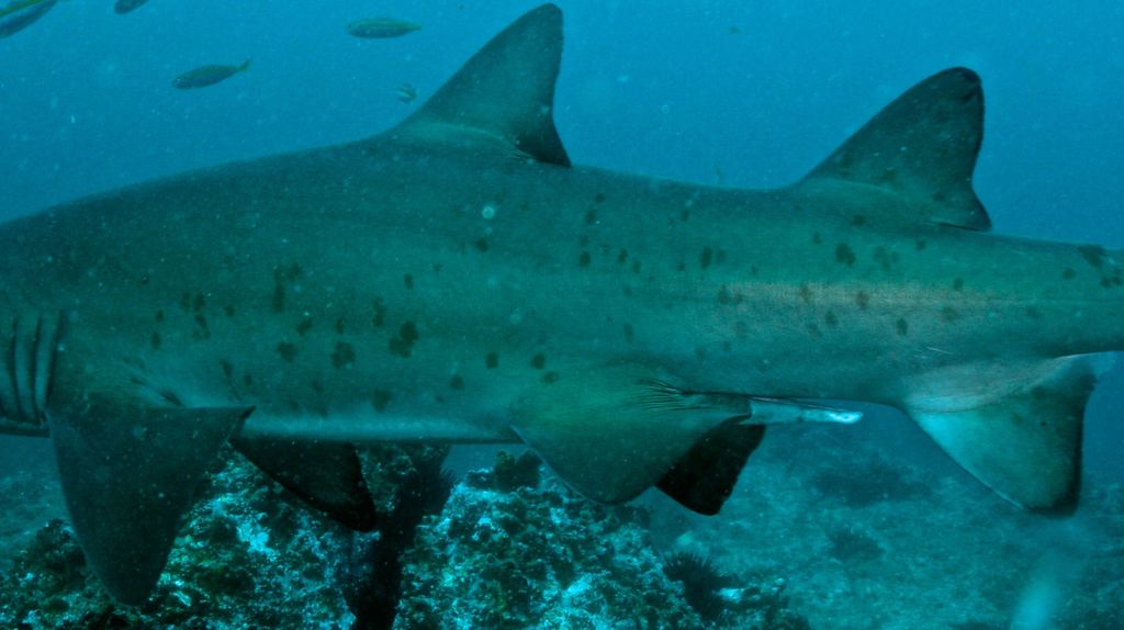 d9f83768-3f41-4c24-967c-e4d5b88d44ec