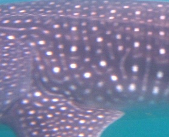 cc6e765c-437c-444e-8104-fb1a1592b471