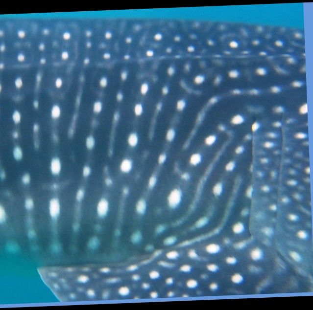 cc6e765c-437c-444e-8104-fb1a1592b471