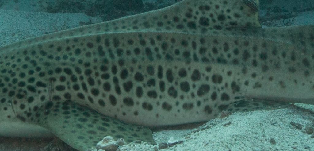 9fa8f534-f434-4ebf-8cee-b721f438edfd