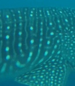 b20f2a3c-0b98-40bf-a322-83e8d690db2a