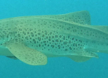 ac914855-ae91-45df-853f-445aab29d1df