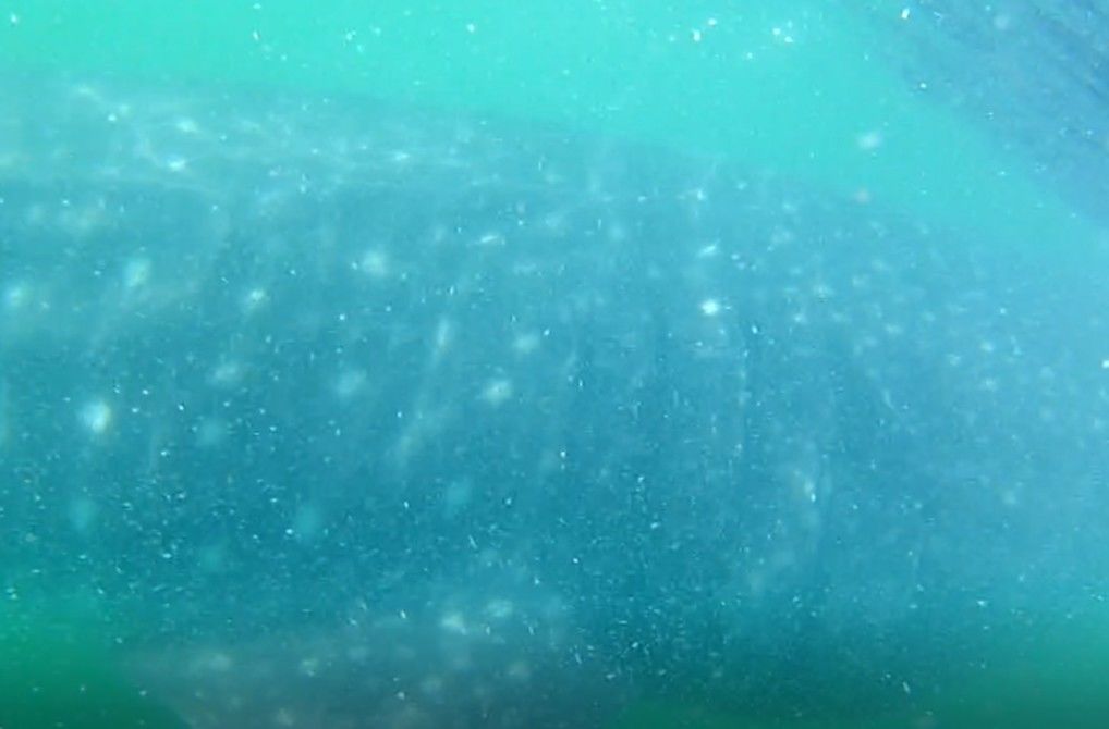 8293c534-2446-4127-9bbd-8bb411971cfc