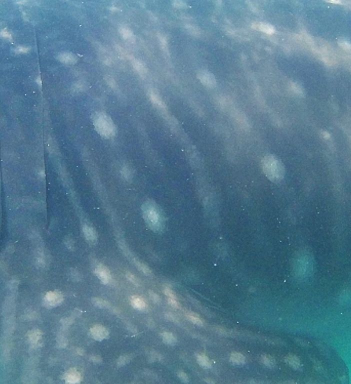 d493f23a-0915-42d2-8dc0-dcf913a1c524