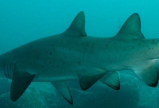 d59777b4-9399-4696-9fce-57b28639b76e