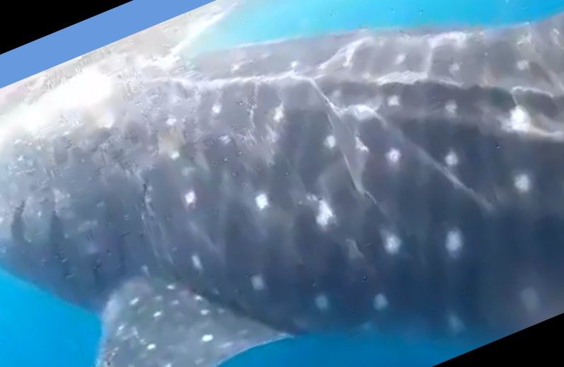 7a20c83d-172f-4a1d-91b4-0df6bc993ca3