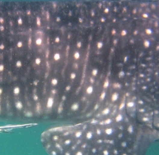 8dfb3102-67f6-4b95-b4e5-bfa0321219e0