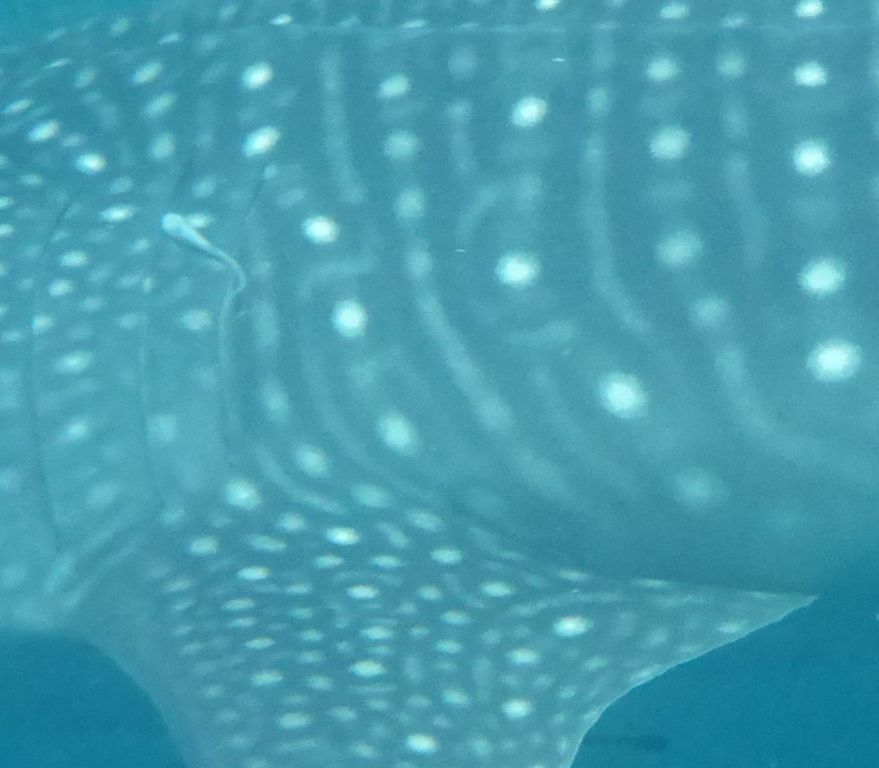 642d9ddd-b23f-453b-bcd8-6f667233519a