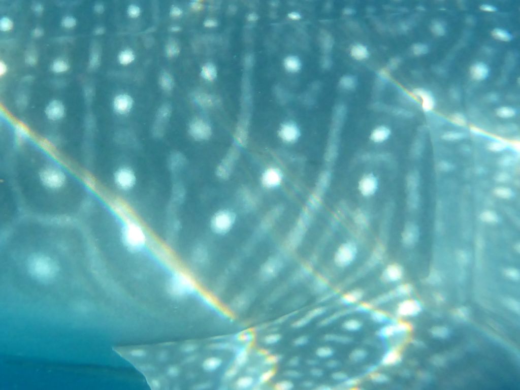 642d9ddd-b23f-453b-bcd8-6f667233519a