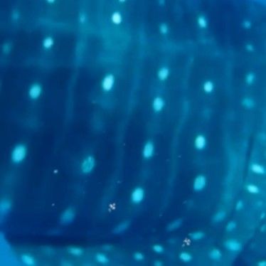 22280266-898a-4ae4-81c4-c681a435085a