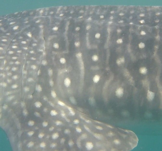 678e0789-71c7-4fd0-b85d-bb977d766bbf