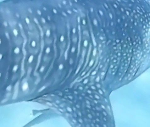 a9ac4f21-968c-419d-a11d-75bca15db2e5