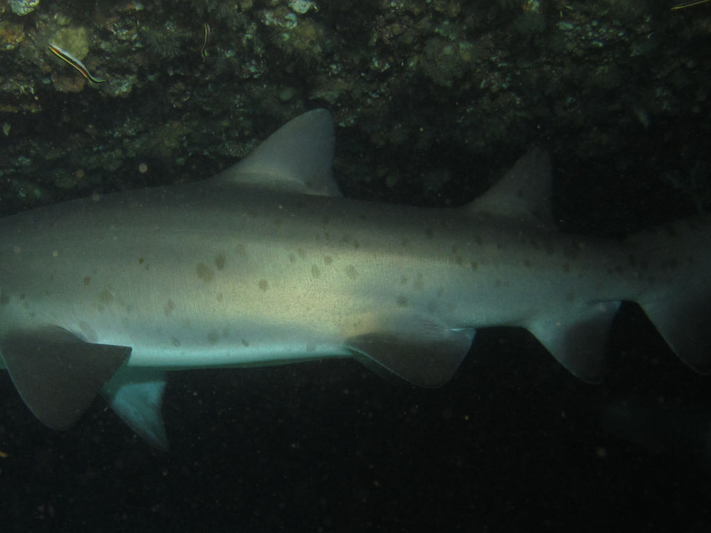 5c7057e3-a04f-4c78-a0bd-1f23b056325d