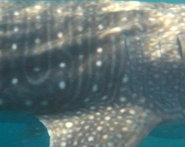 d7f2b805-d797-4907-836e-0962ddb81261