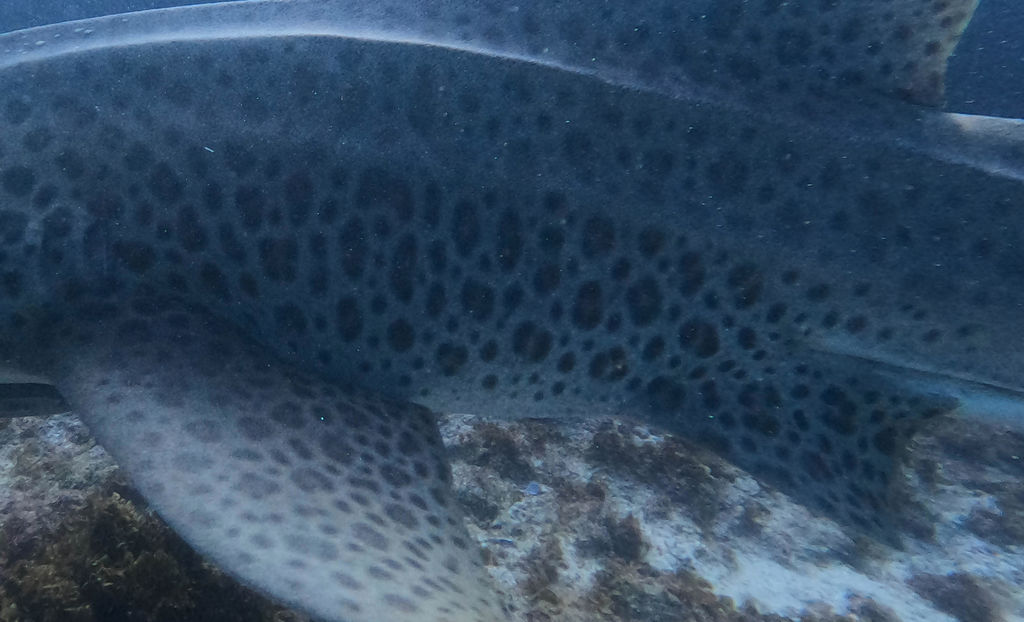 e3ec3514-0540-4f9f-aa21-a19c4ffeaeca